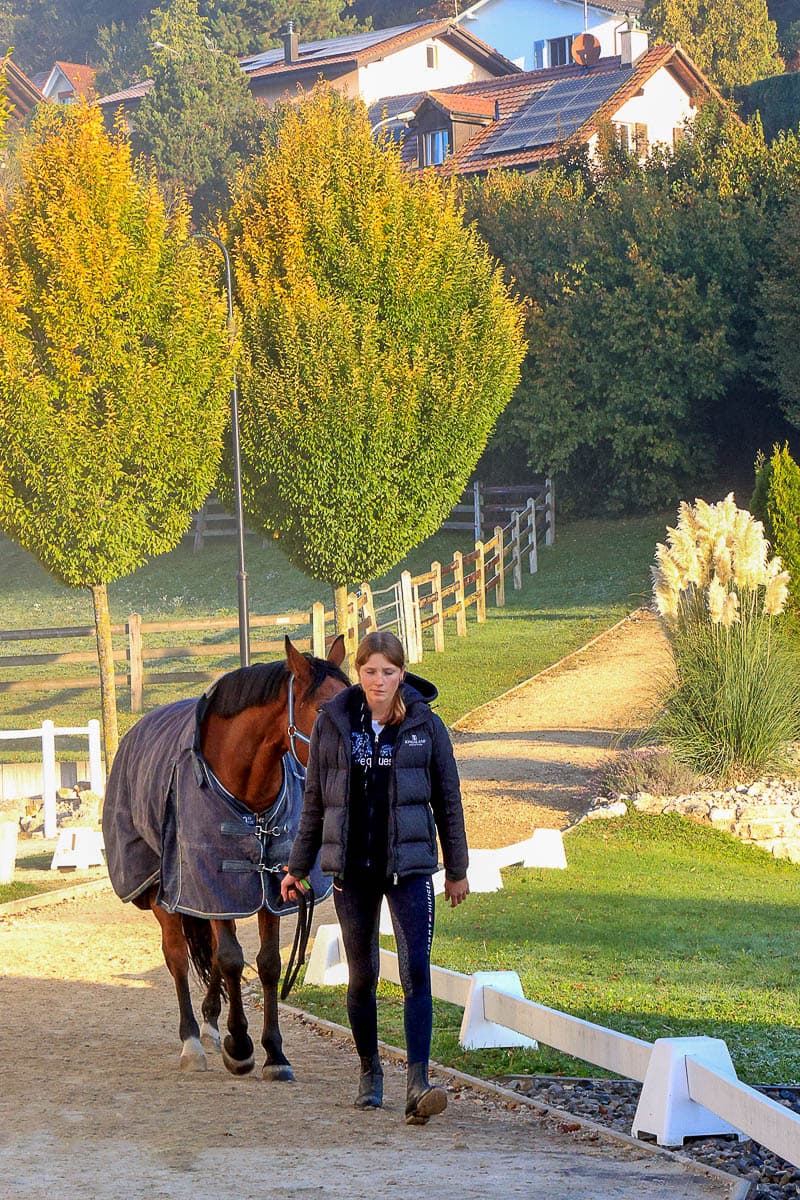 Golden autumn light on the showgrounds