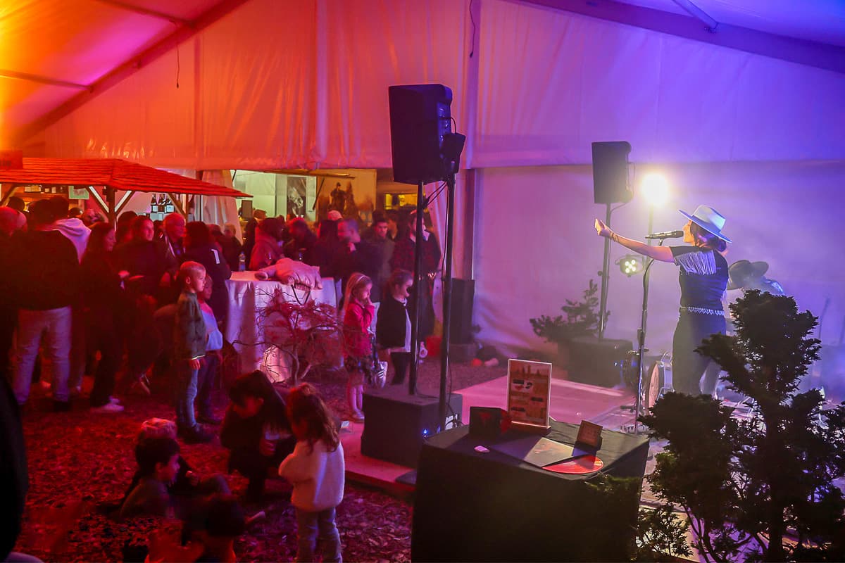 A singer performing in the tent