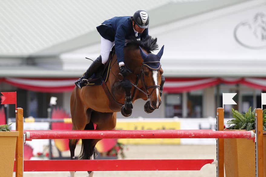 Quite Special BZ jumping at an international show