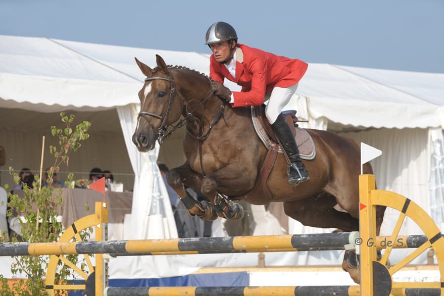 Wallaby jumping at an international show
