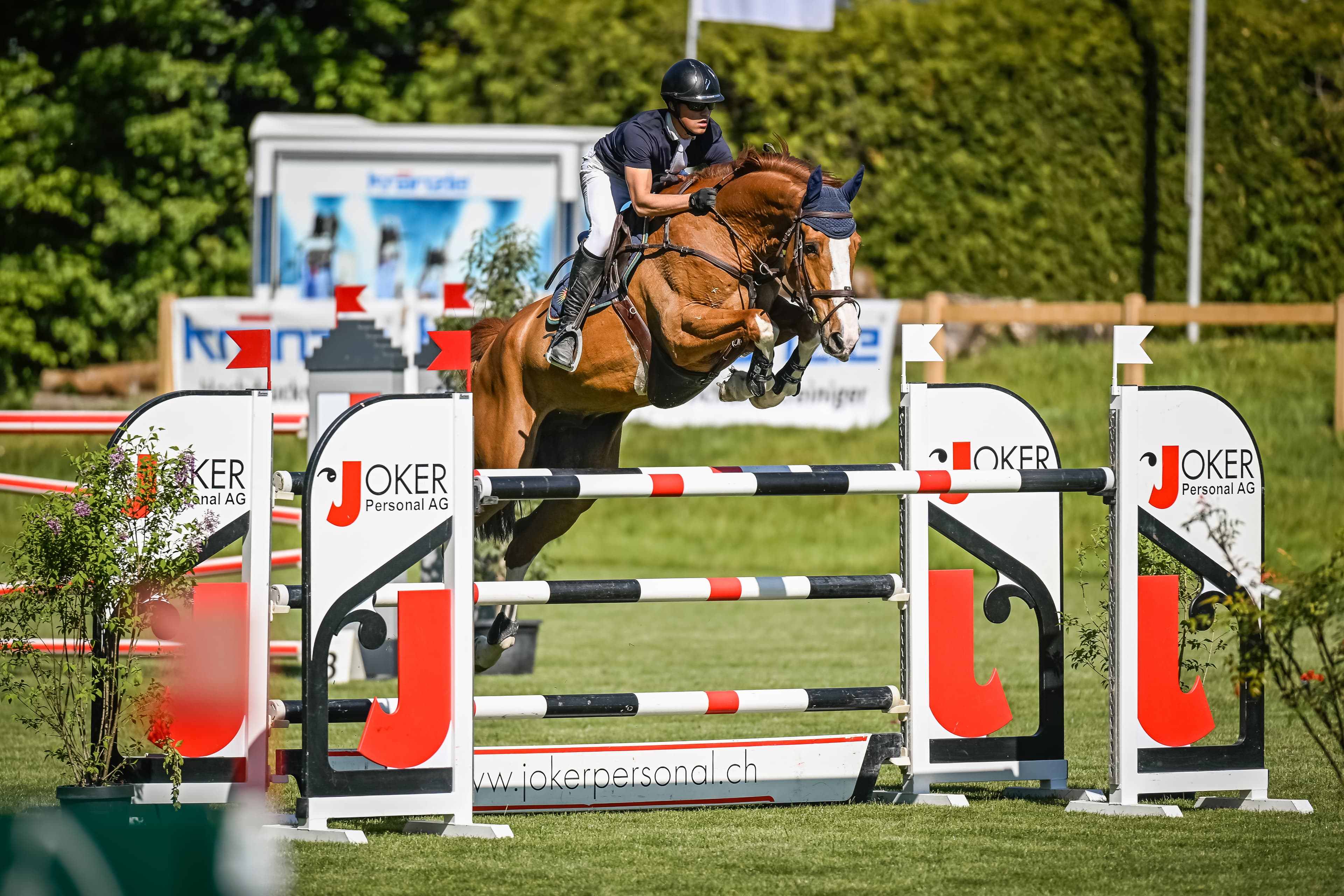 A young horse on course at an outdoor show
